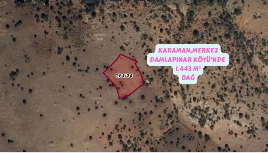 KARAMAN MERKEZ DAMLAPINAR KÖYÜNDE 1.443 M² BAĞIMIZ SATILIKTIR. - KARAMAN MERKEZ fotoğraf 4